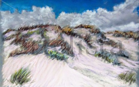 Dunas. Playa de Oliva