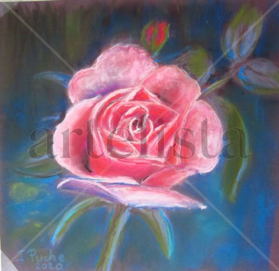 Rosa Pastel Card Floral Painting