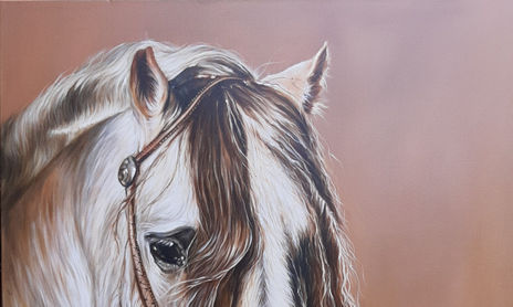 Caballos