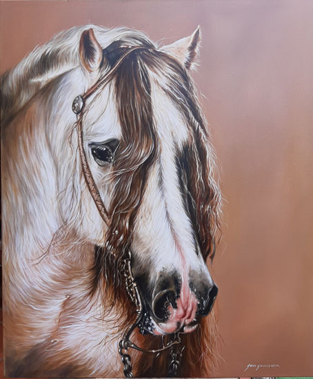 Caballo Blanco Oil Canvas Animals