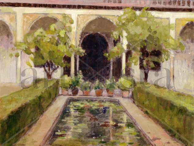 patio de casA Morisca Acrylic Others Landscaping