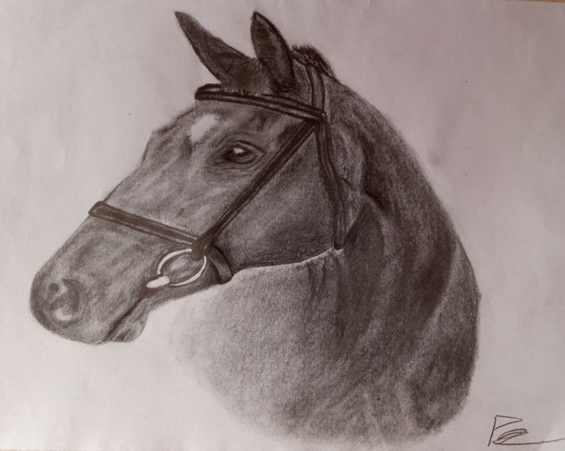 Caballo Pencil