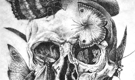 Skulls