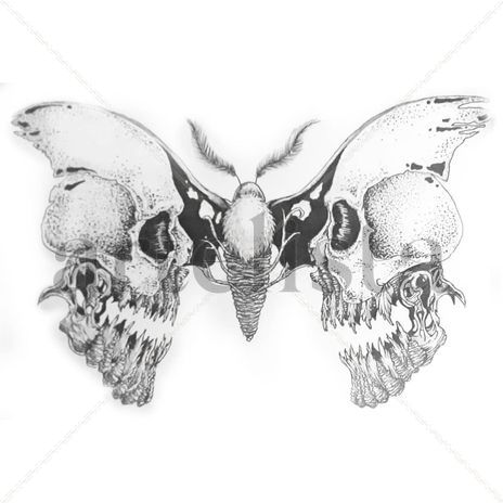 "Butterfly"