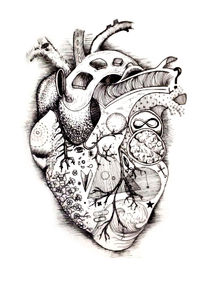 "Biological Heart"