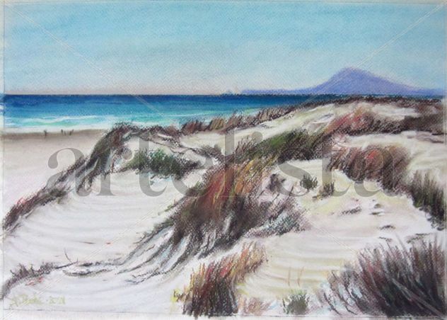 Dunas en la playa de Oliva