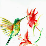 ANIMALES thumbnail 1