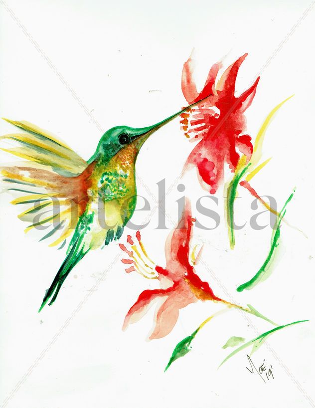 GENEROSIDAD