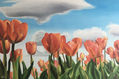 tulipanes