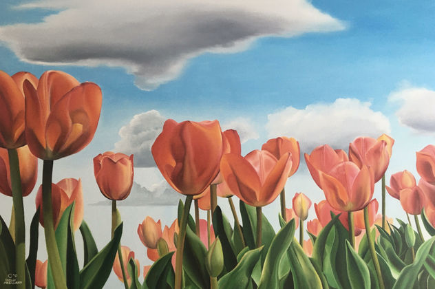 tulipanes