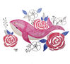 Ballena yubarta Rosa