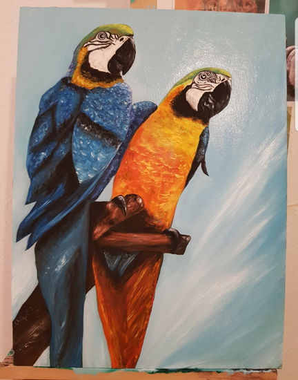 Loros Oil Canvas Animals