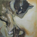 Gatos thumbnail 2