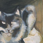 Gatos thumbnail 1
