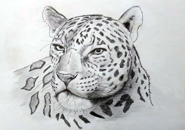 Jaguar Lápiz