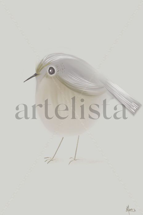 Pichí 1