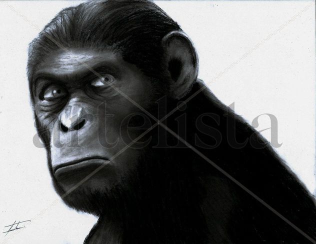 Caesar The Leader of the Apes