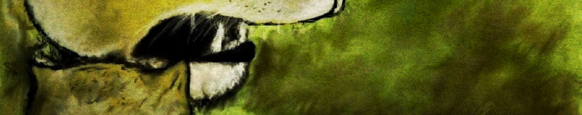 Imagen de portada