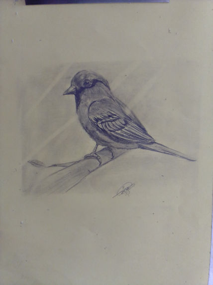 Un pajarito en rama