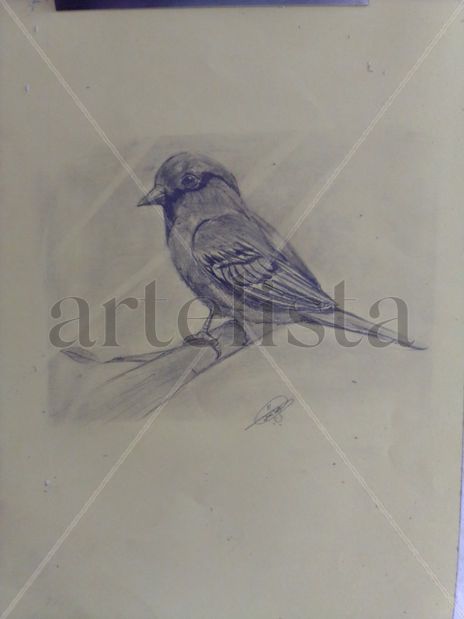 Un pajarito en rama