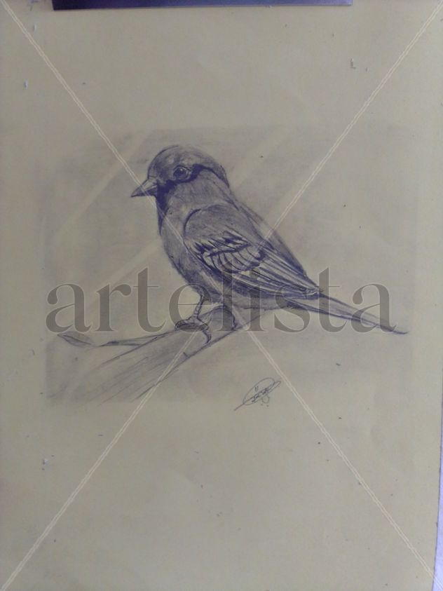 Un pajarito en rama
