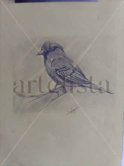 Un pajarito en rama Pencil