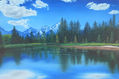 Paisaje con pinos