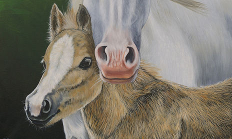 Animales