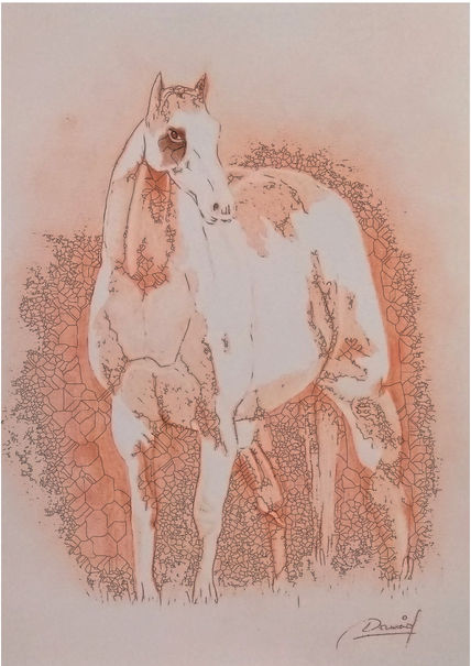 Caballo