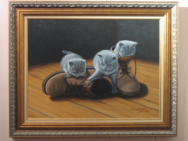 gatos con botas