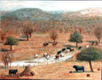 "Campos de Ciudad Rodrigo con Toros"