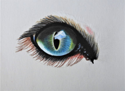 Ojo 30€