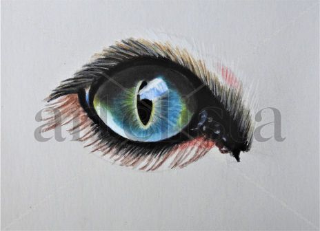 Ojo 30€