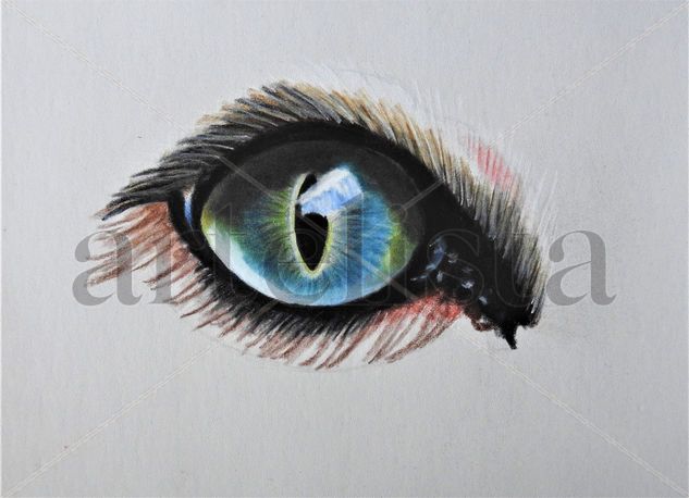 OJO 30€ Mixed Media