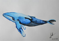 Ballena azul 25€