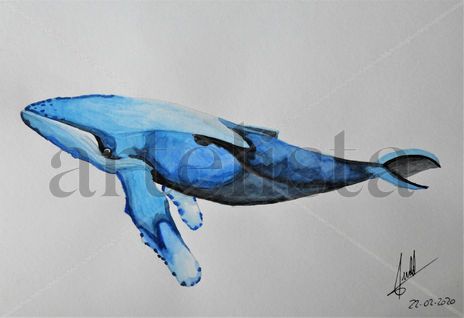 Ballena azul 25€