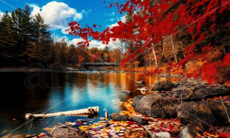 landscape