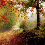 landscape thumbnail 2