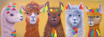 Alpacas y Llamas...