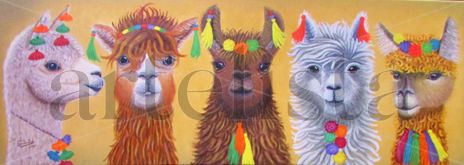 Alpacas y Llamas...