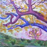 PAISAJES ONÌRICOS thumbnail 2