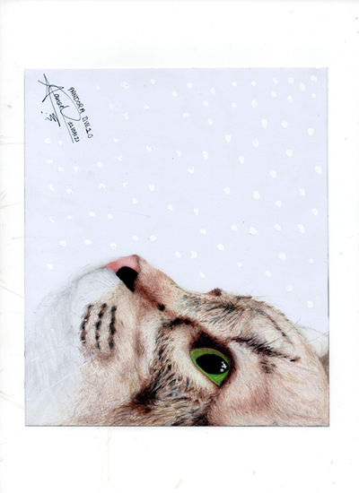 Gatita esperanza-hope cat Pencil (coloured) Card Animals