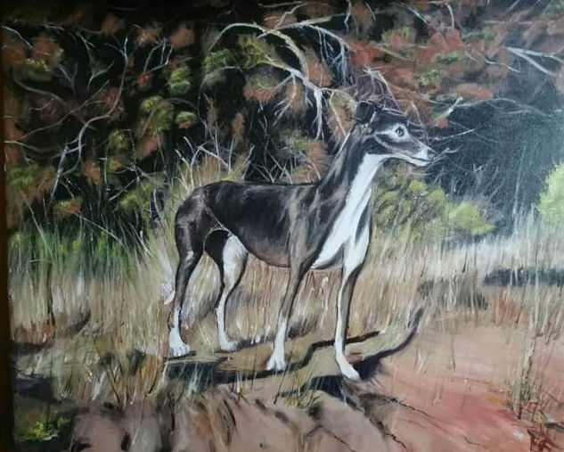 Galgo,( Jorge Jaque, CONSTITUCION, CHILE), Acrylic Canvas Animals