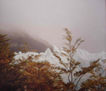 GLACIAR PERITO MORENO 1