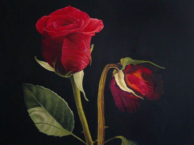 Rosas Oil Canvas Floral Painting