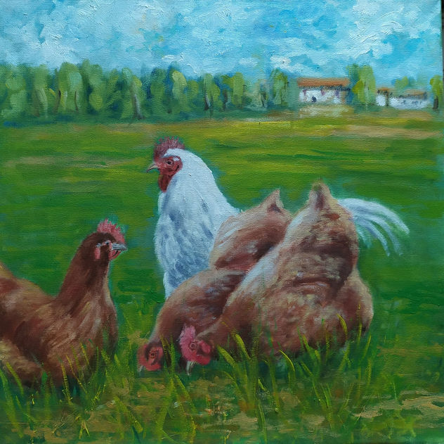 GALLINAS CAMPERAS