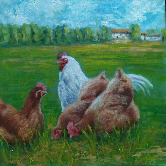 GALLINAS CAMPERAS Oil Canvas Animals