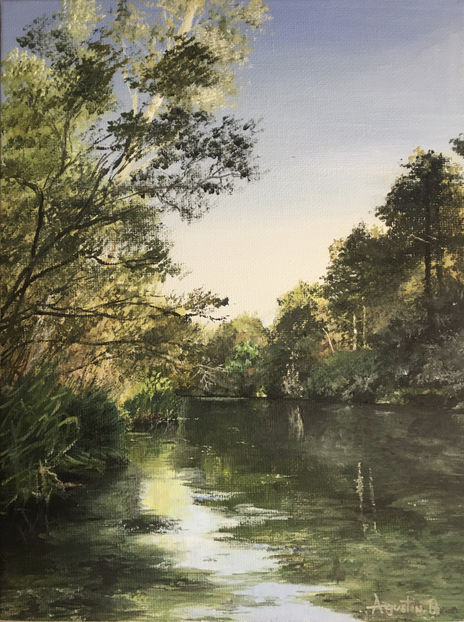 Río Tajo en calma