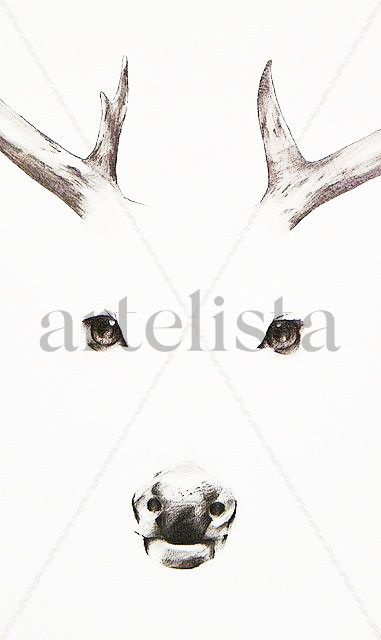 Dear Deer