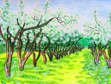 Spring landscape...